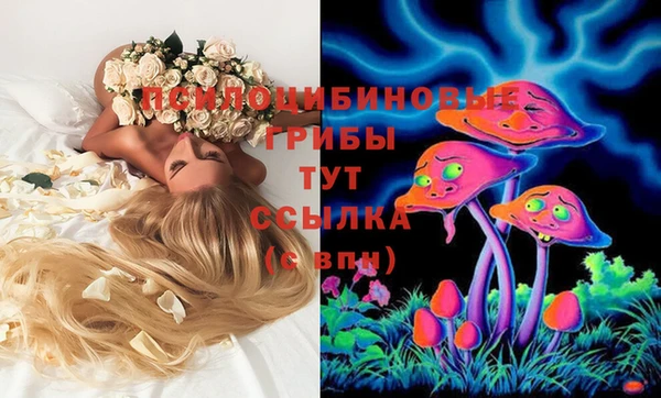 герыч Бородино