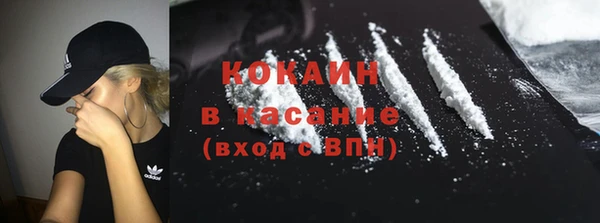 сатива Зерноград