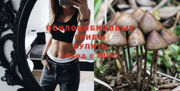 герыч Бронницы