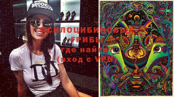 герыч Бронницы
