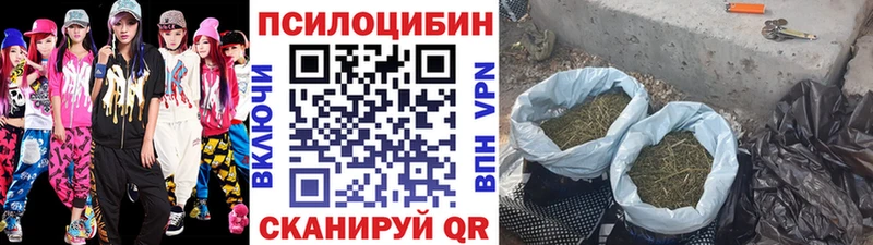 Галлюциногенные грибы прущие грибы  Комсомольск 